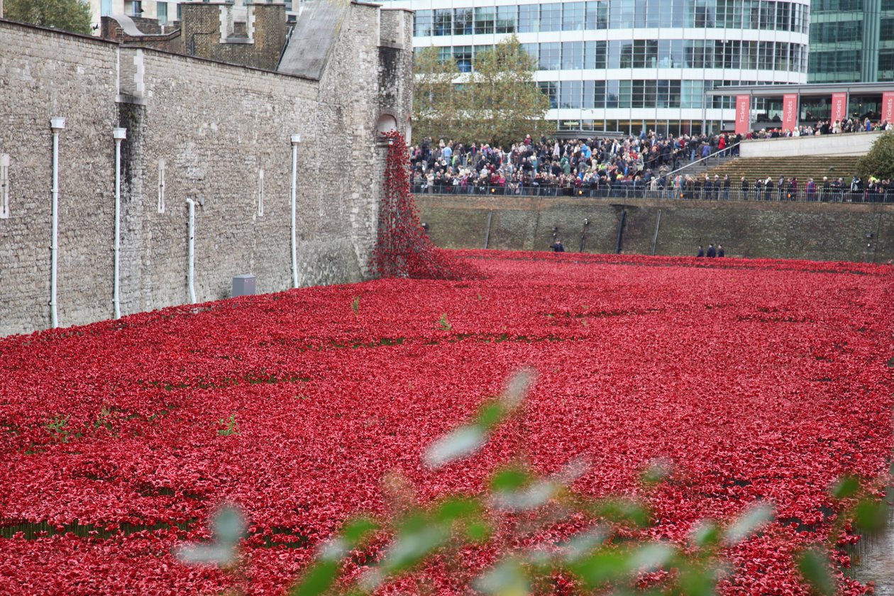 Blood Swept Lands and Seas of Red, Tower of London by Sheldon Marshall