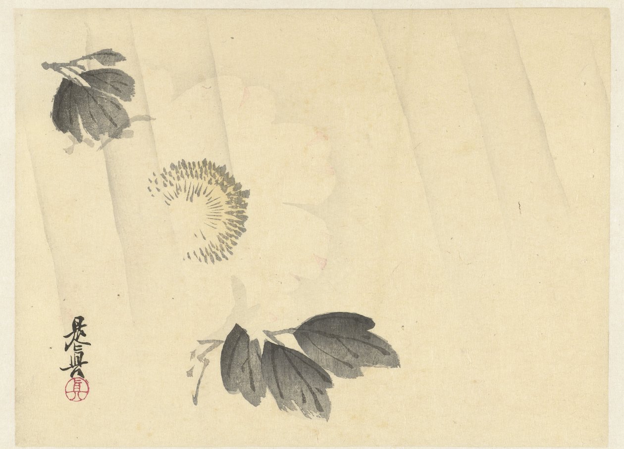 White Peony in the Rain by Shibata Zeshin