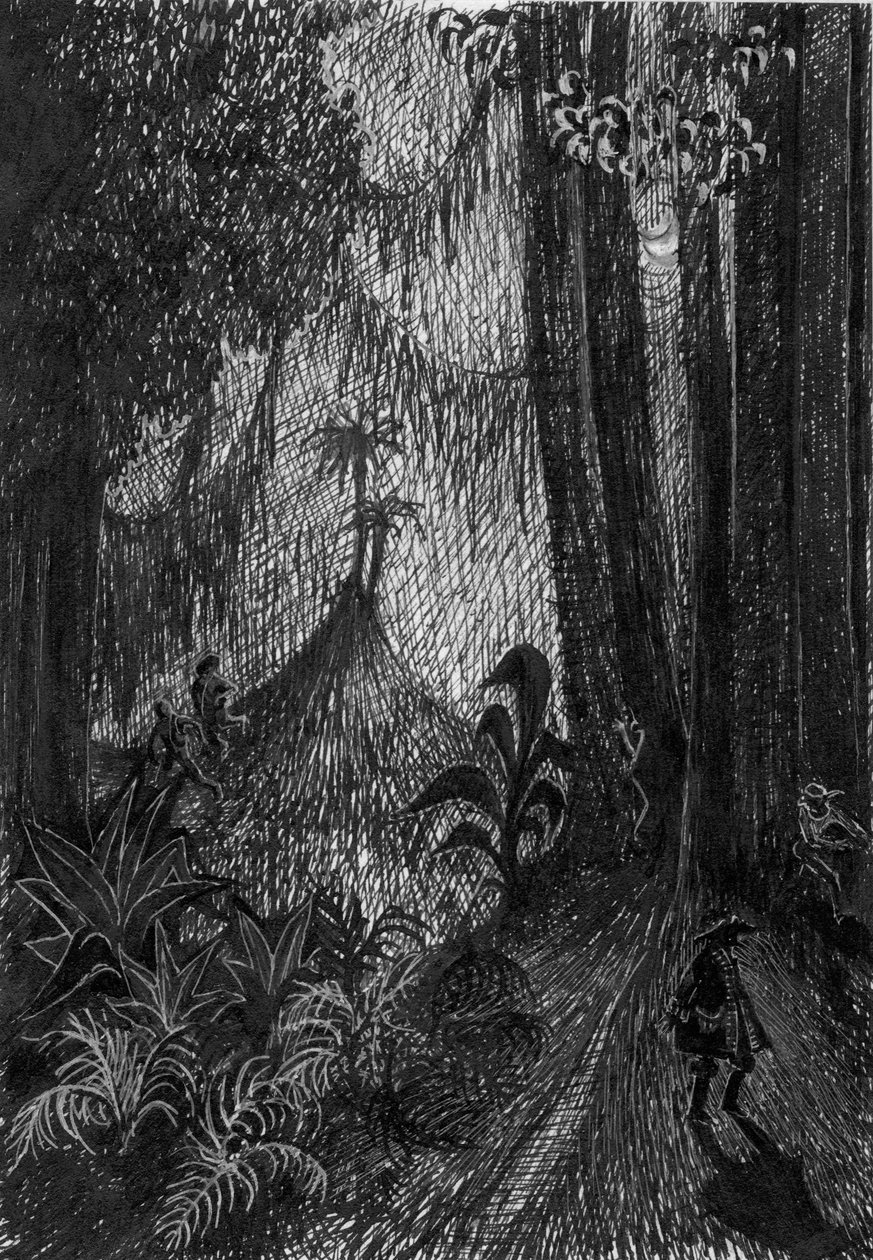 Pirate in the rainforest by Shirley Markham