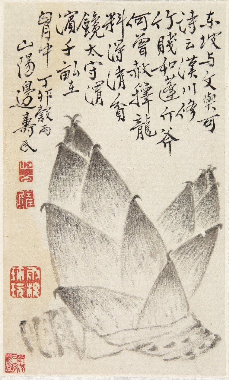 Bamboo Shoots, from an Album of Vegetables by Shou min Pien