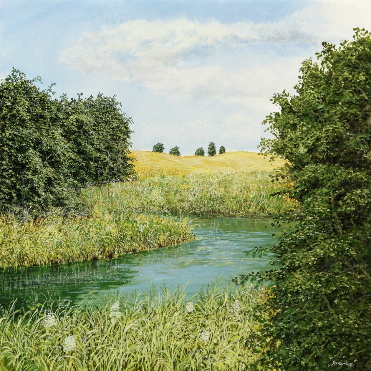 English Garden by Silvian Sternhagel