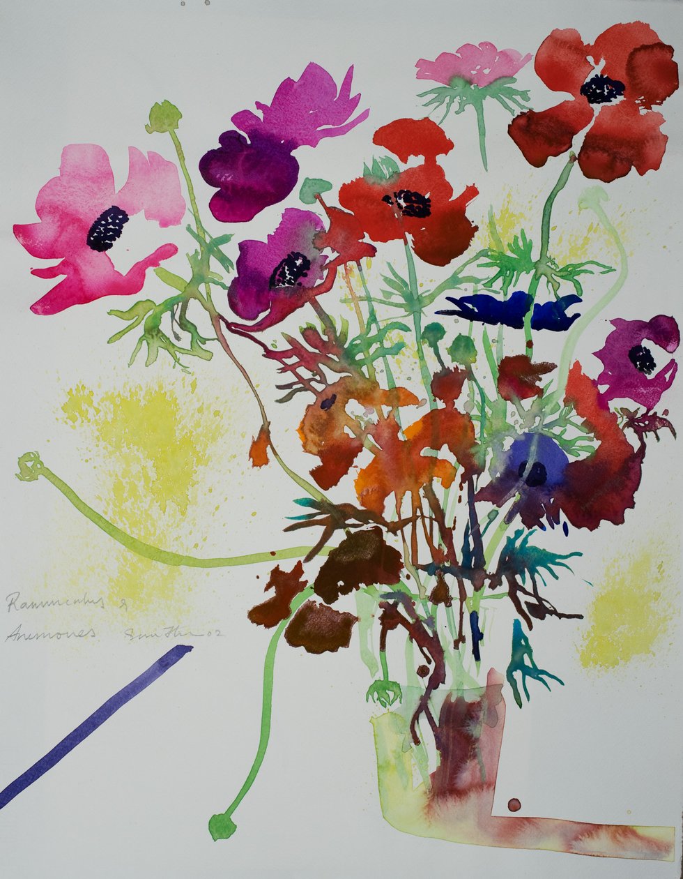 Ranunculus & Anemones, 2010 by Simon Fletcher