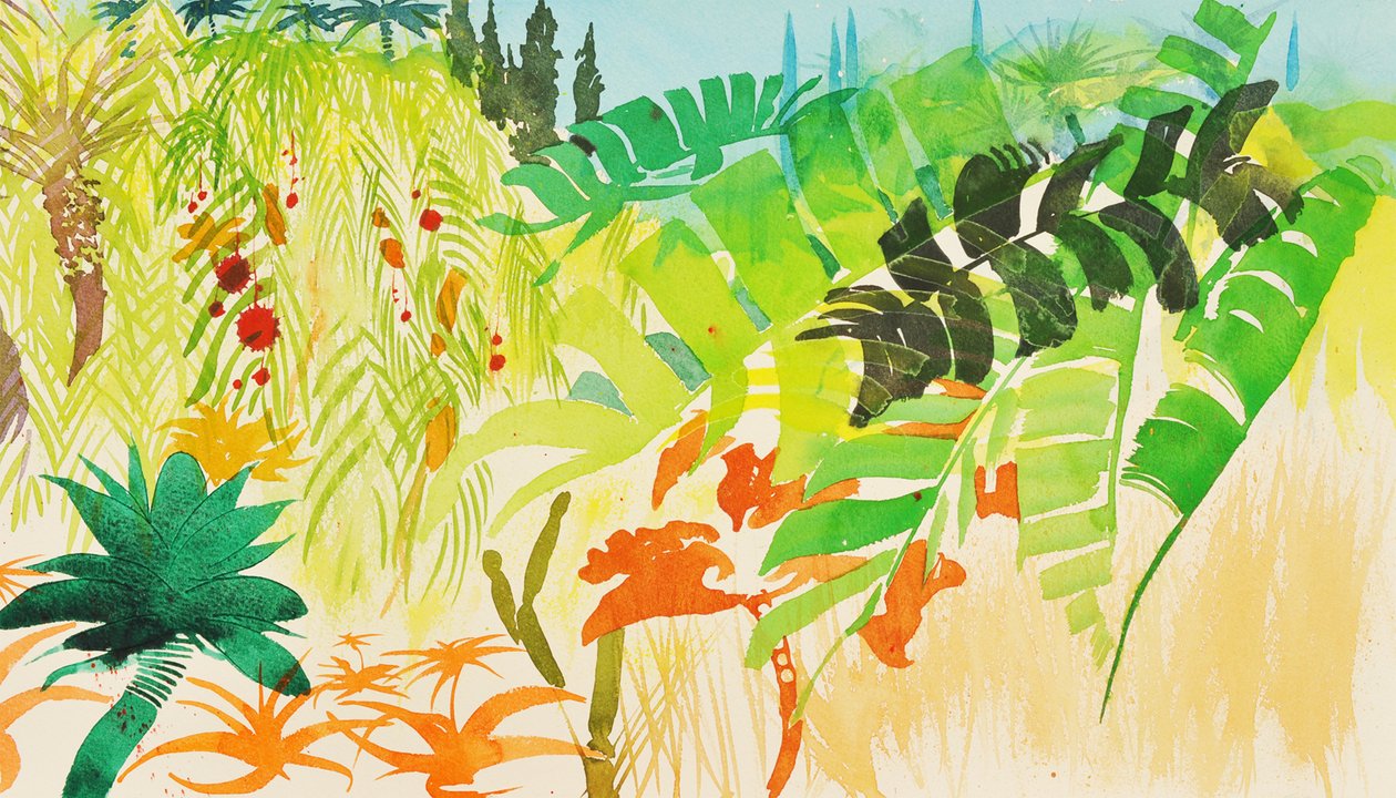 Tropical Garden, Mogador, 2016 by Simon Fletcher