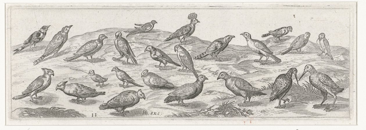 Landscape with Various Birds by Simon Frisius