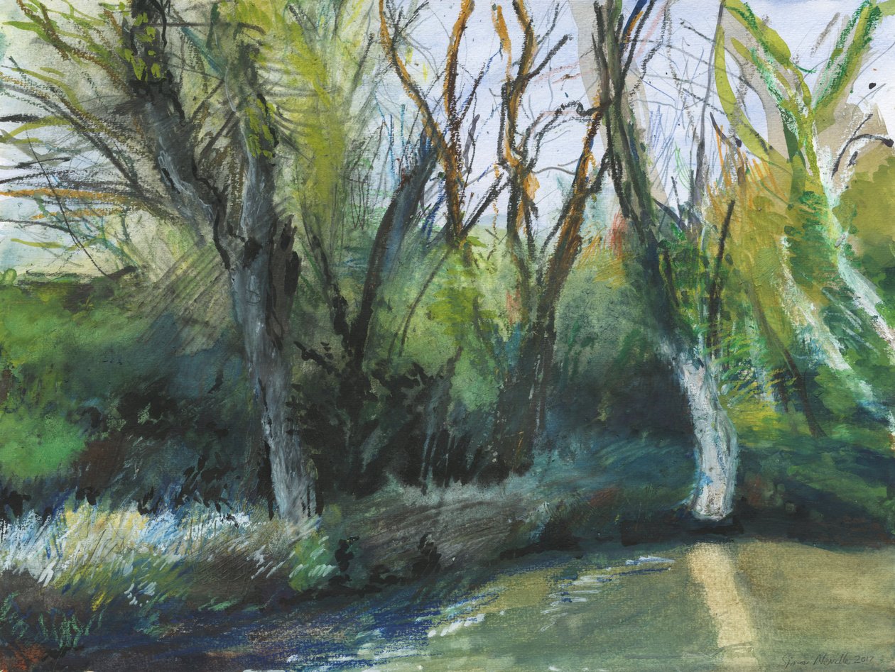 Latchmere Brook, Ham Common by Simon Neville