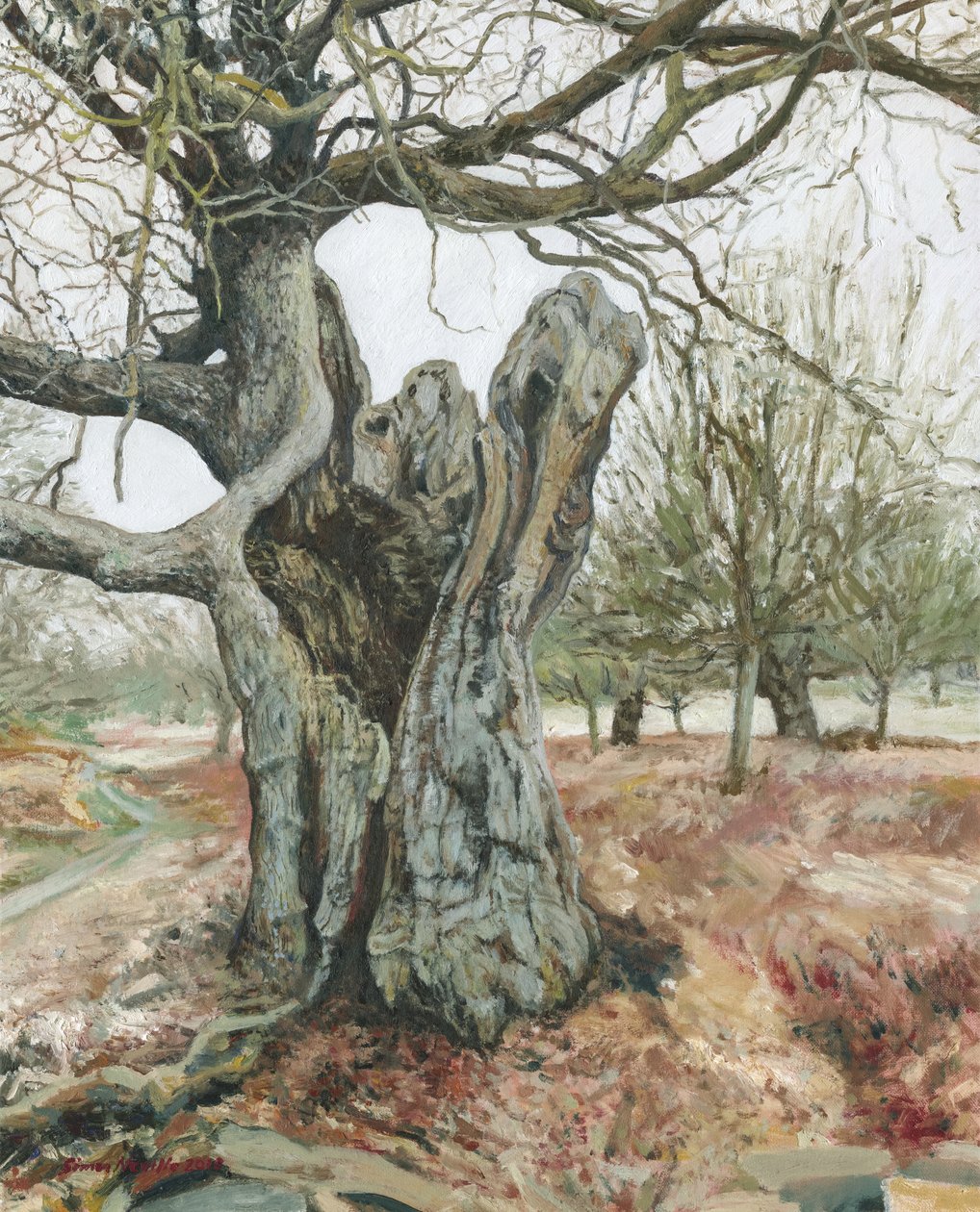 Old Tree, Richmond Park by Simon Neville