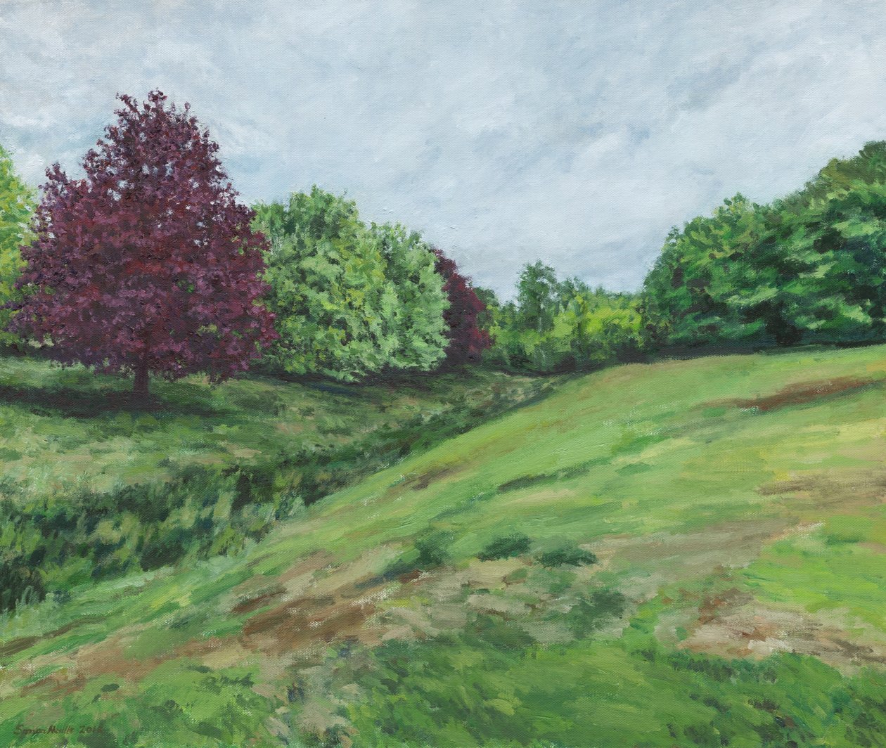 Richmond Park by Simon Neville