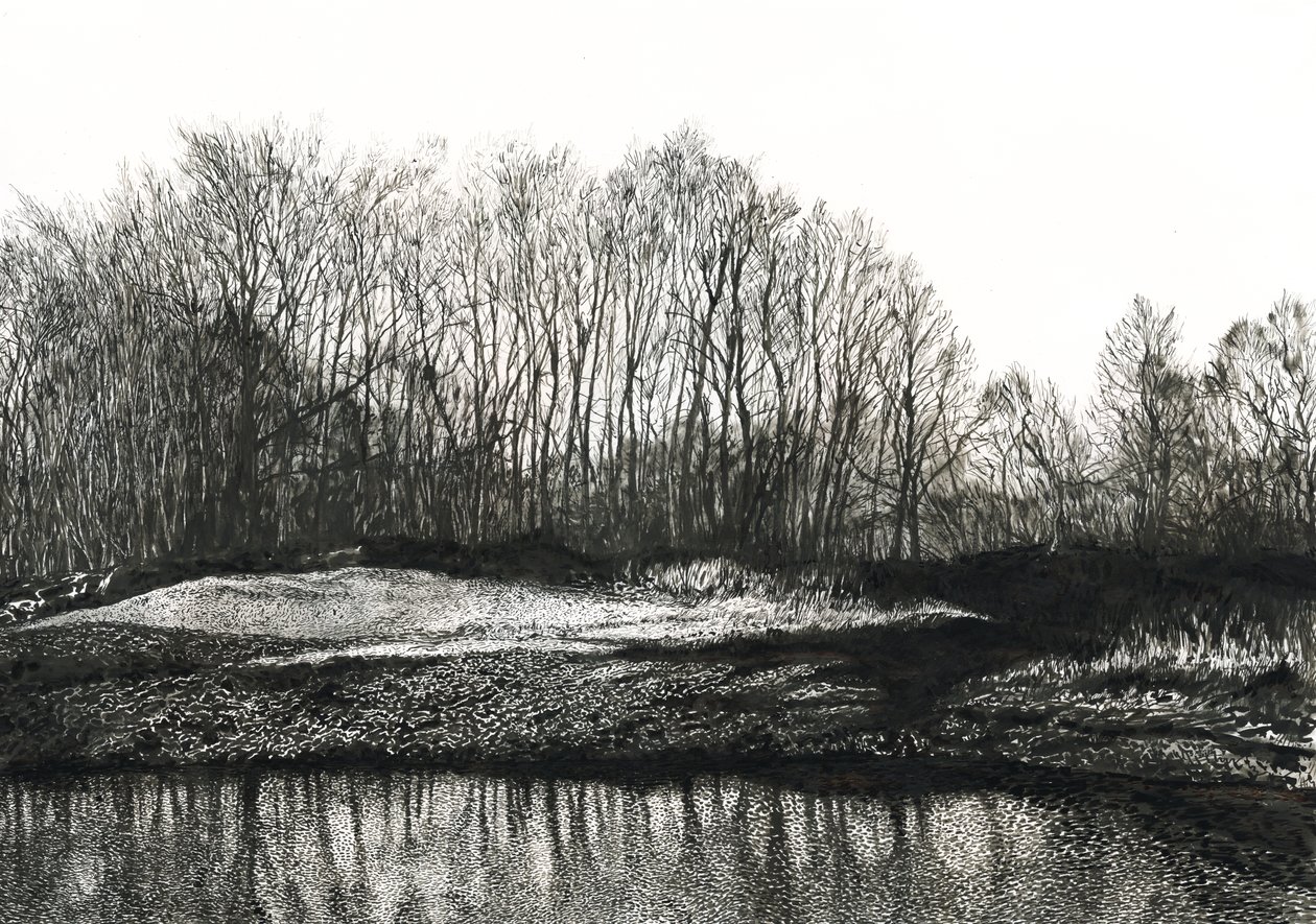 Stand of Birch Trees, Burying Hill Beach by Simon Neville