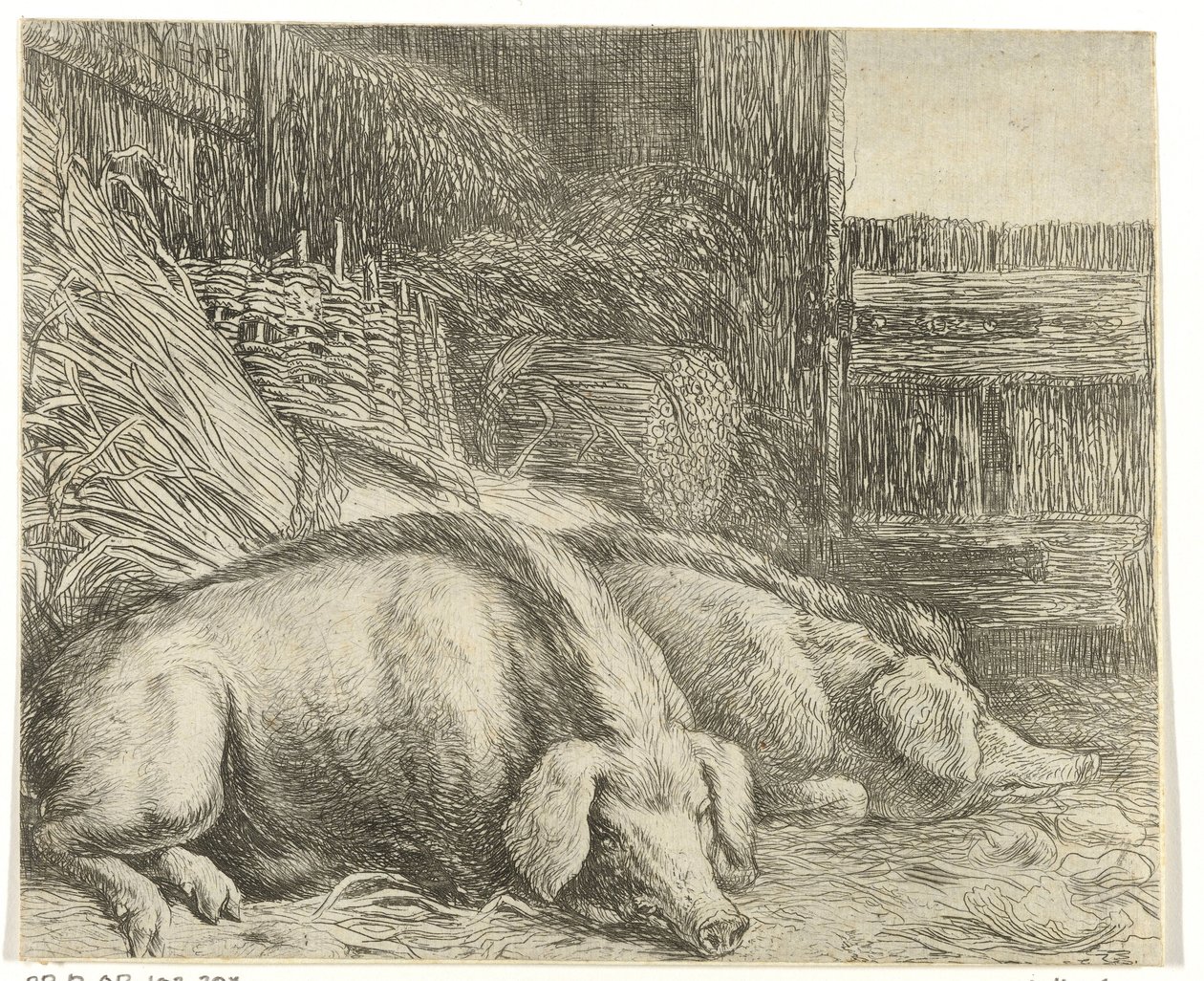 Two Pigs (Various Animals series, Beesjes van de Vlieger series) by Simon de Vlieger