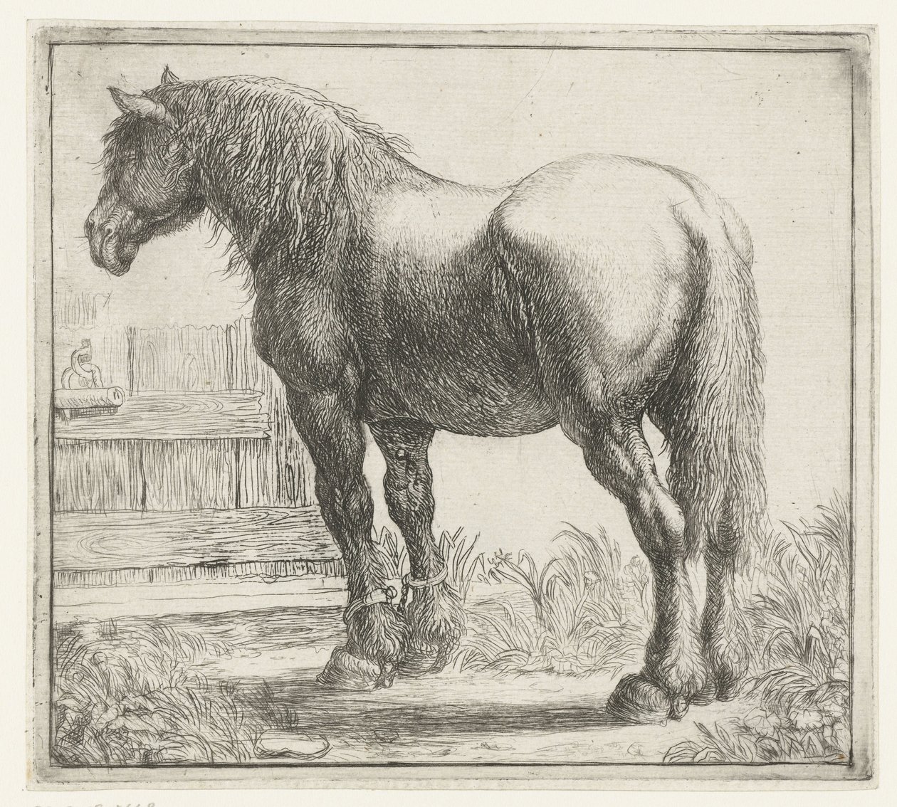 Workhorse by a Fence by Simon de Vlieger