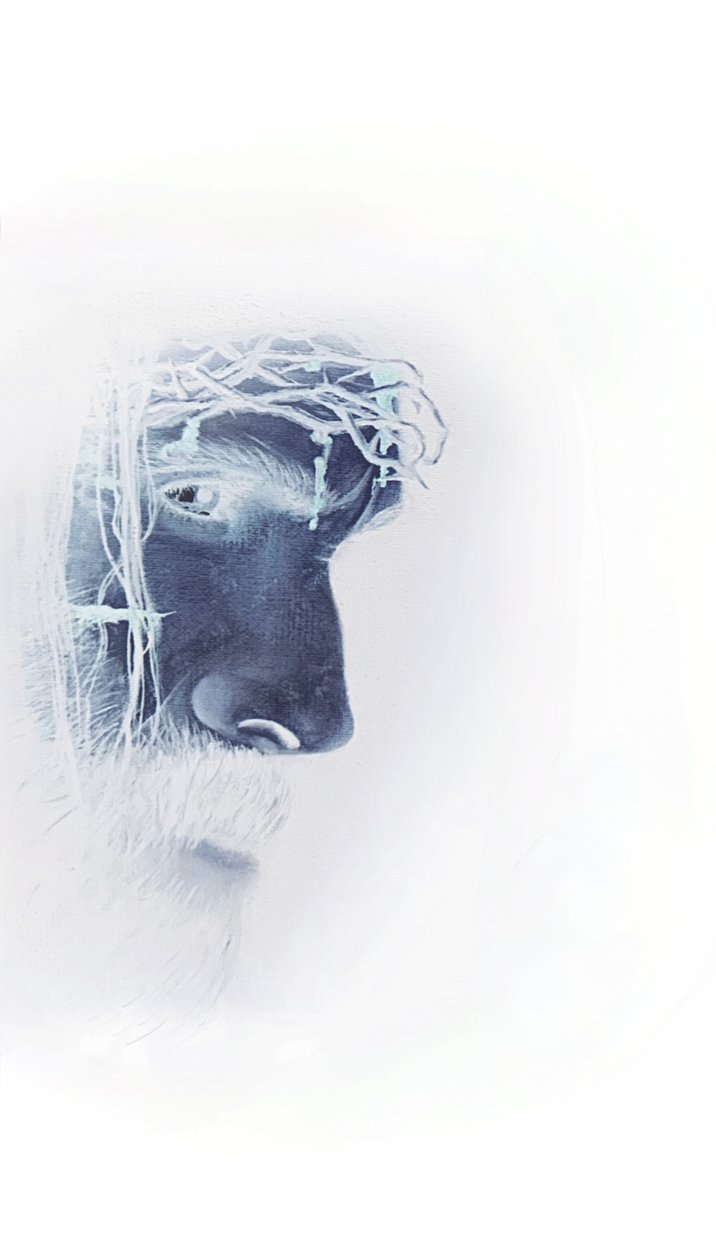 Jesus with Crown of Thorns by Simone Amon