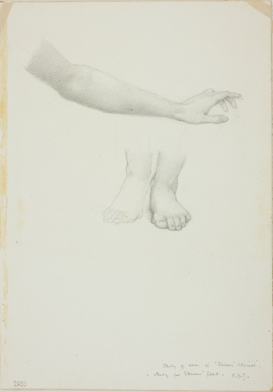 Arm and Feet, study for Mirror of Venus by Sir Edward Burne Jones