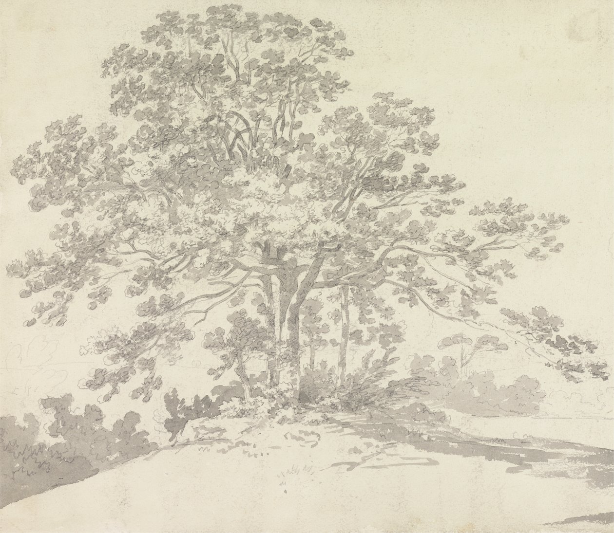 Tree by Sir George Howland Beaumont seventh Baronet