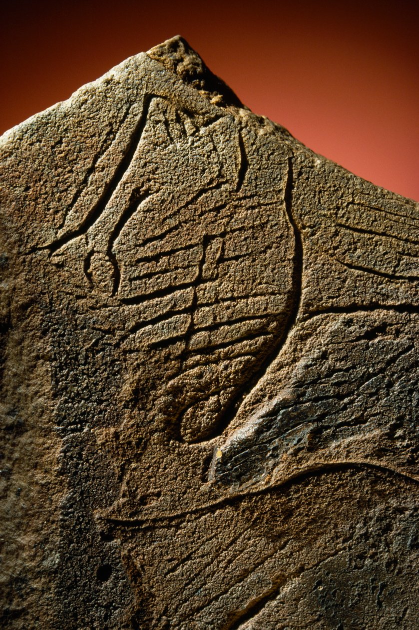 Elegant Engraving of a Human Profile found on a prehistoric limestone cache by Sisse Brimberg