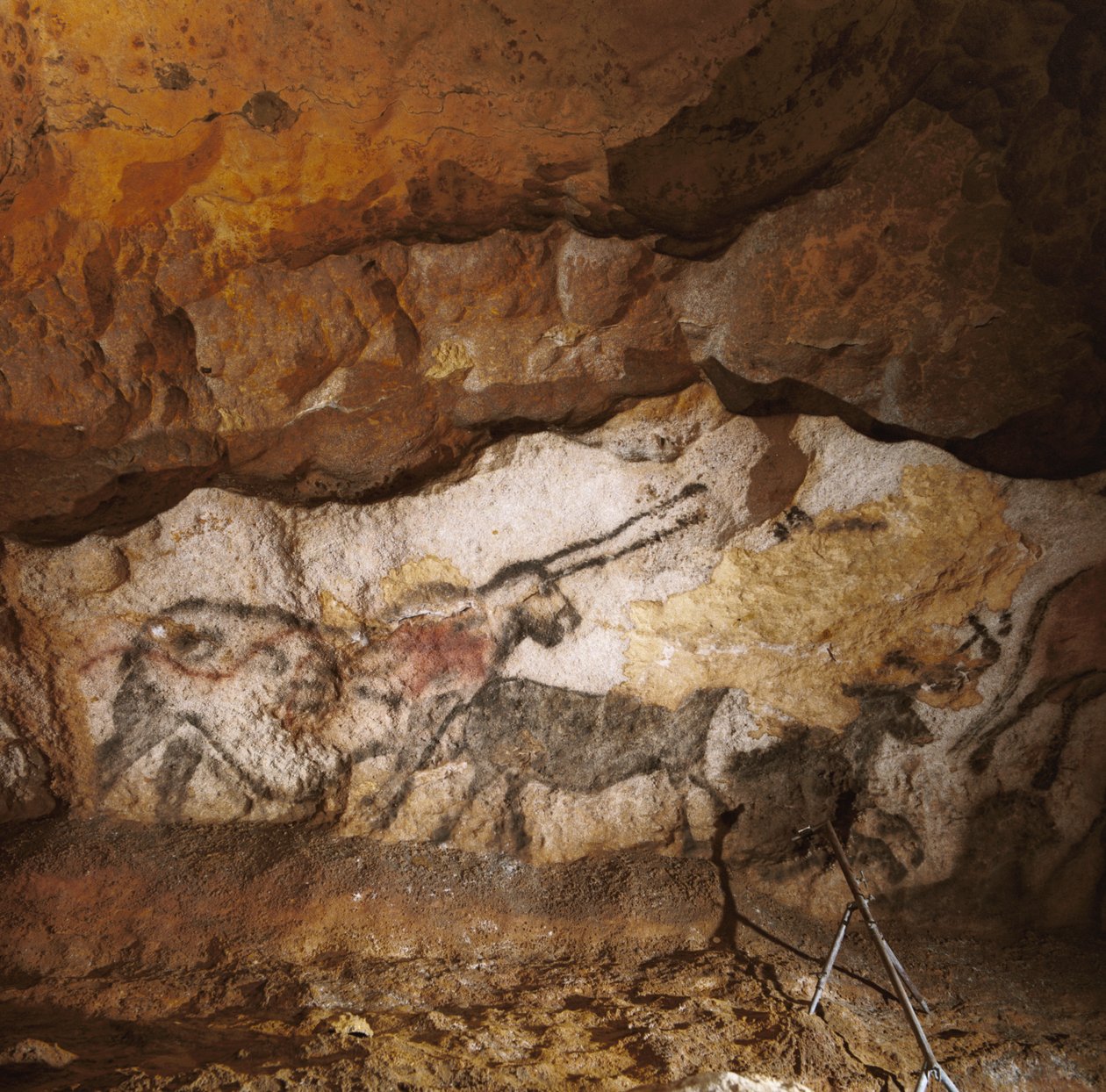 The Mythical Unicorn of Lascaux painted over 17,000 years ago line the white calcite by Sisse Brimberg