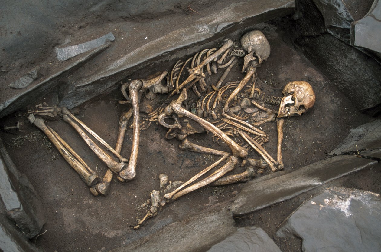 The bones of two Scythians lie in a 3000 year-old grave at Arzhan-2, 2003 by Sisse Brimberg