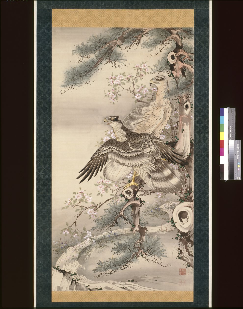 Pair of Hawks with Branch and Blossoms by Soga Shohaku