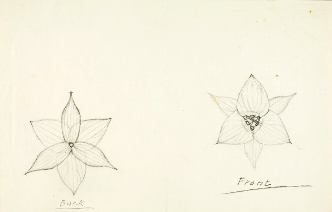 Framework of the Flower by Solon H. Borglum