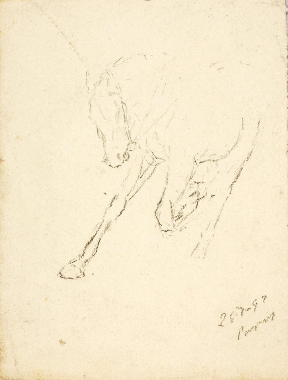 Horse by Solon H. Borglum