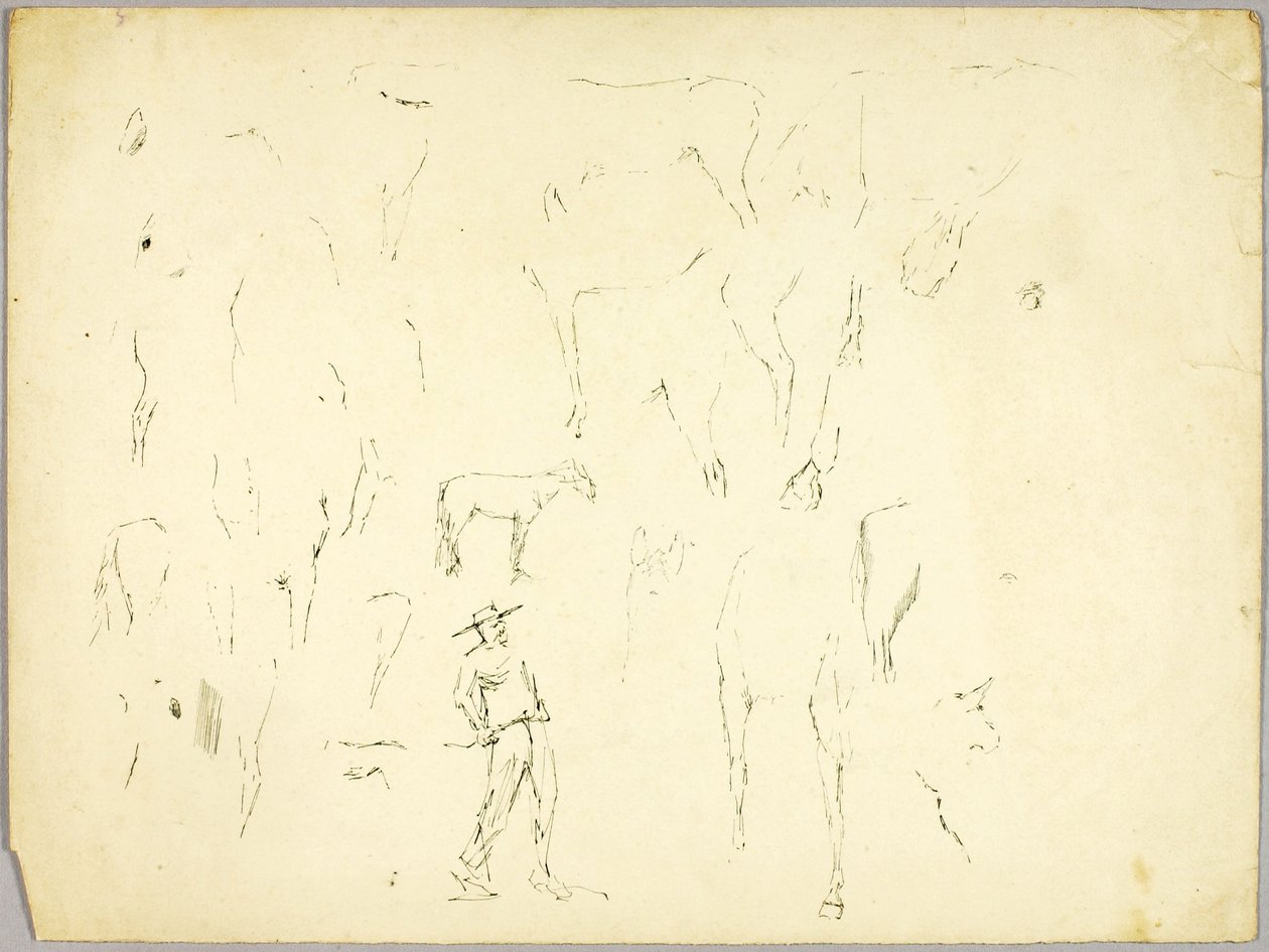 Horse Study by Solon H. Borglum