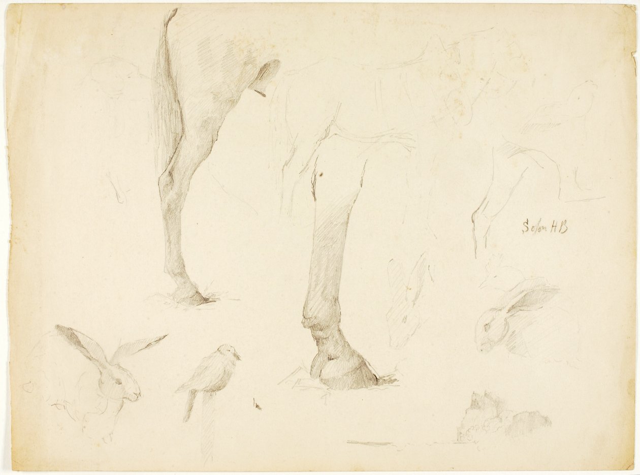 Horse Study and Rabbits by Solon H. Borglum