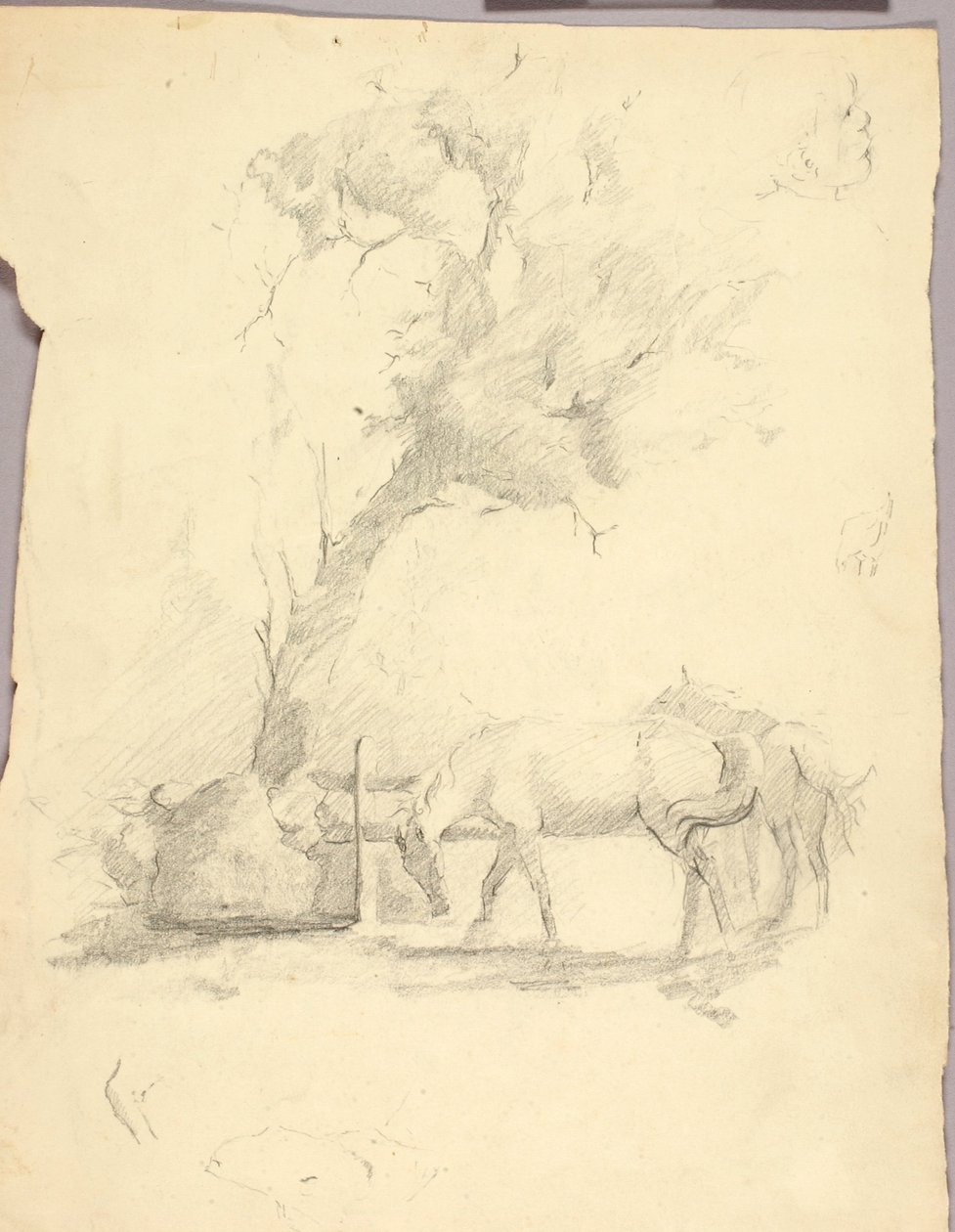 Horses and Tree by Solon H. Borglum