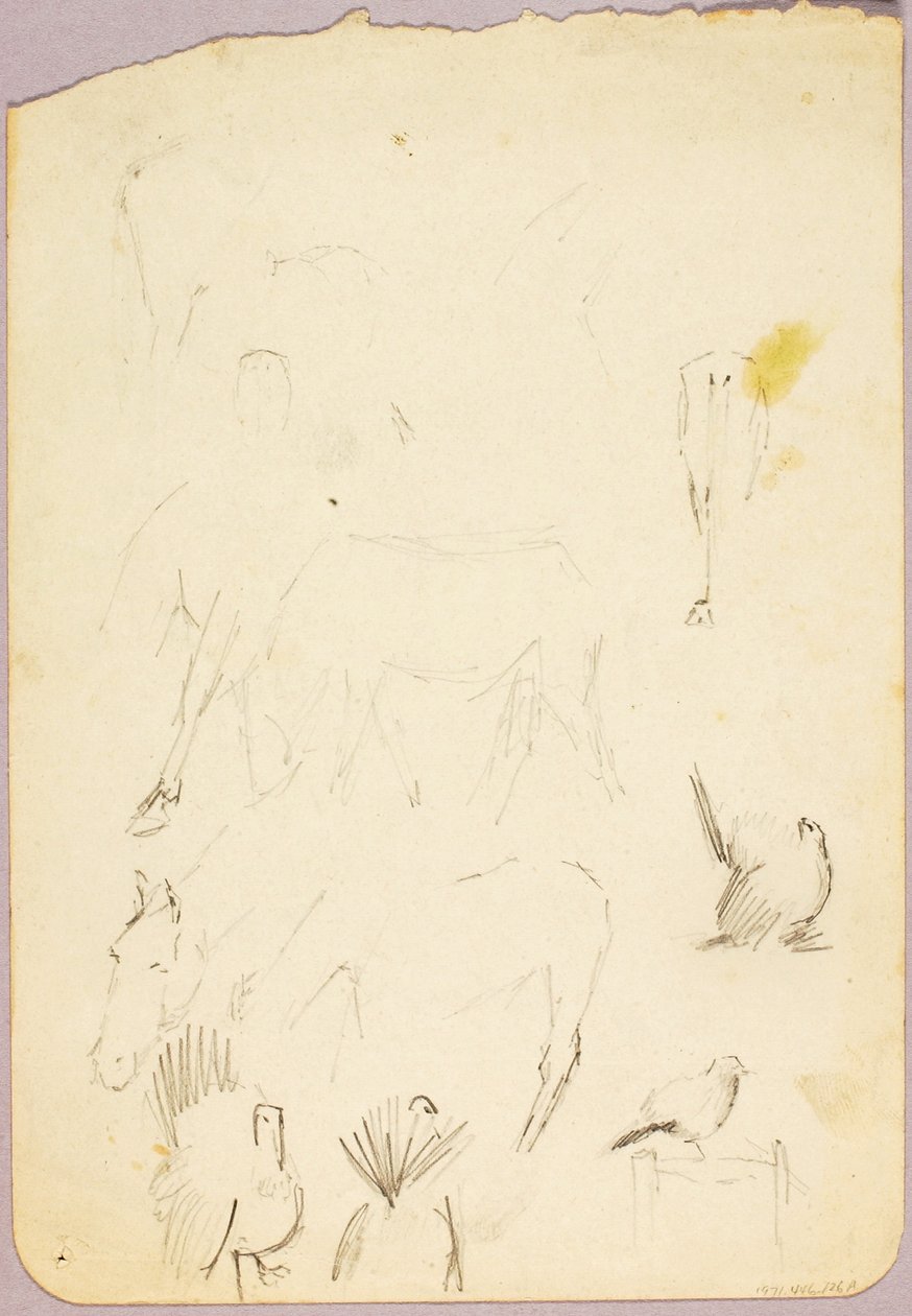 Horses and Turkeys by Solon H. Borglum