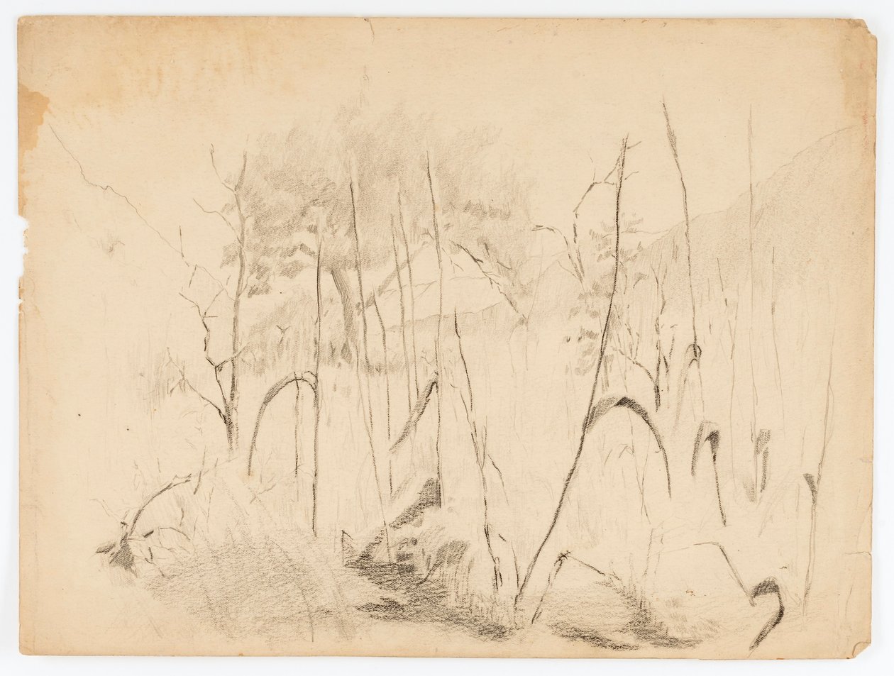 Landscape by Solon H. Borglum