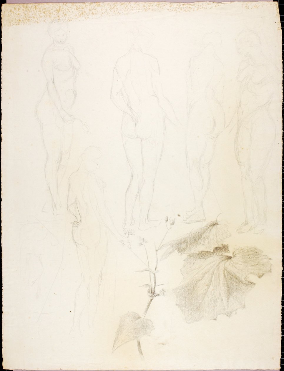 Nudes and Leaf by Solon H. Borglum