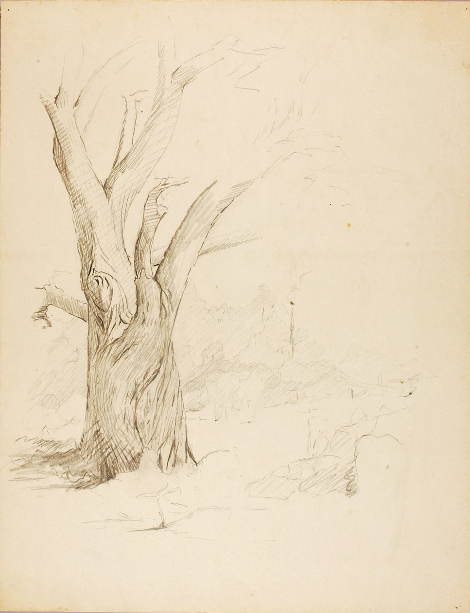 Untitled by Solon H. Borglum
