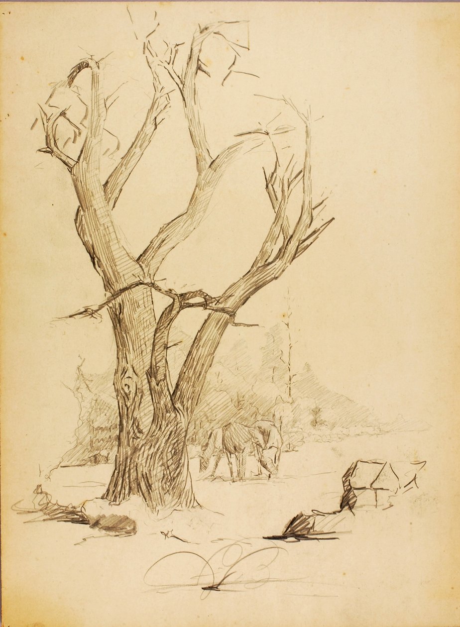Untitled by Solon H. Borglum