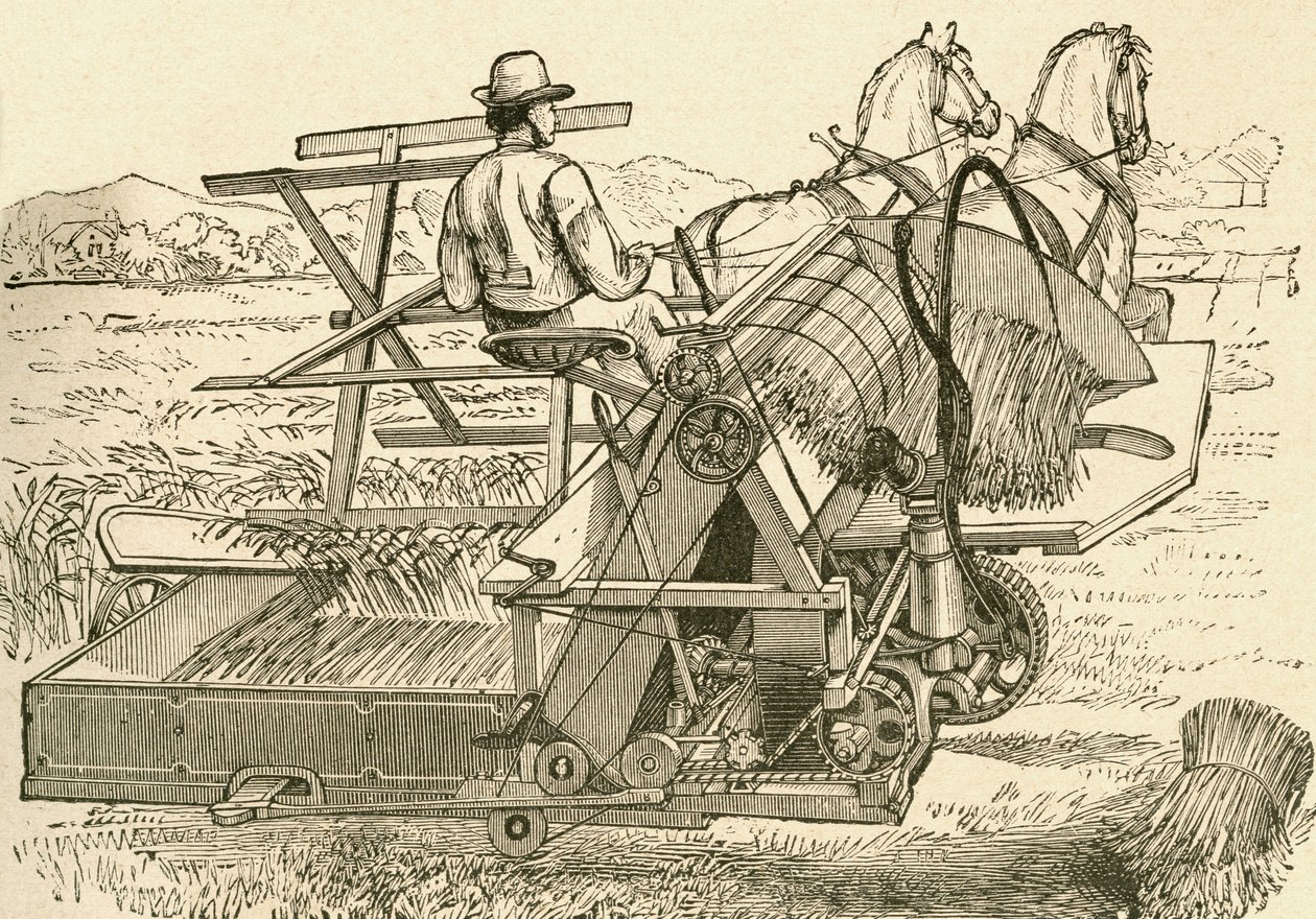 A harvesting machine, pulled by horses, which tied the sheaves of corn mechanically, used in the late 19th century. From El Museo Popular published Madrid by Spanish School