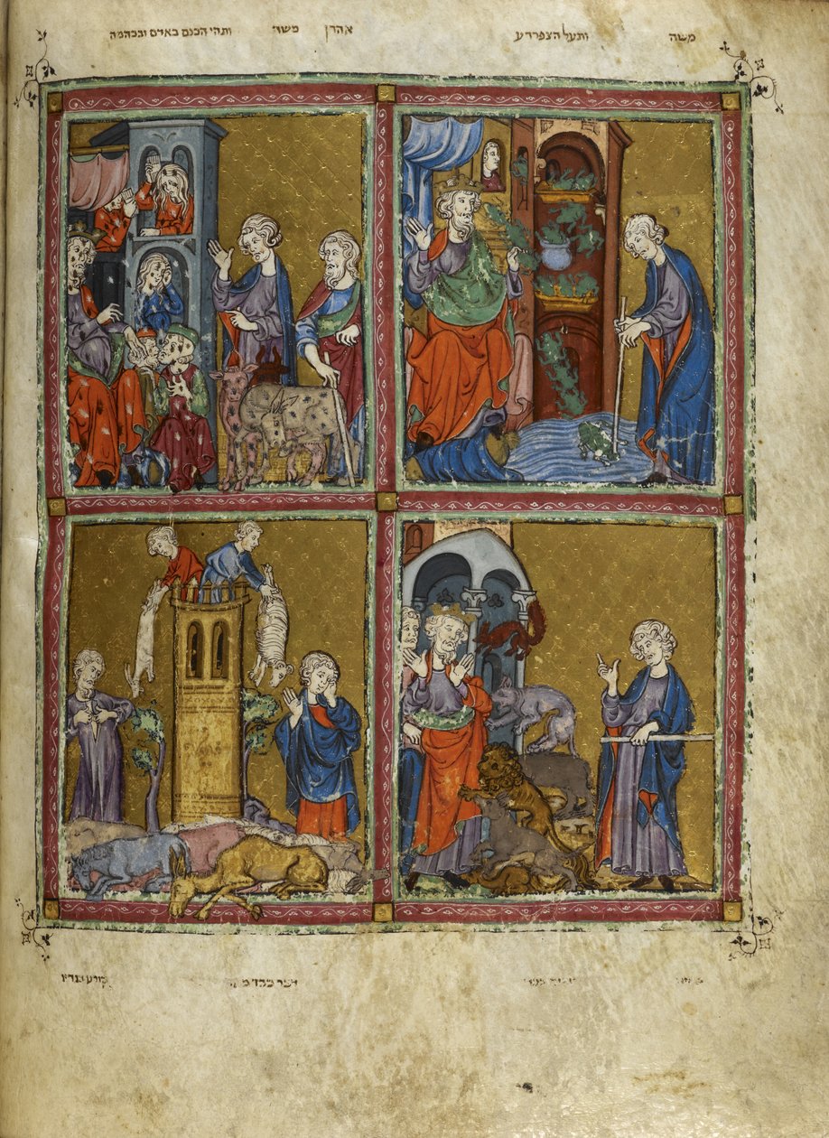 Scenes from Exodus: The plagues of lice, frogs, murrain and pestilence, illustrations from 