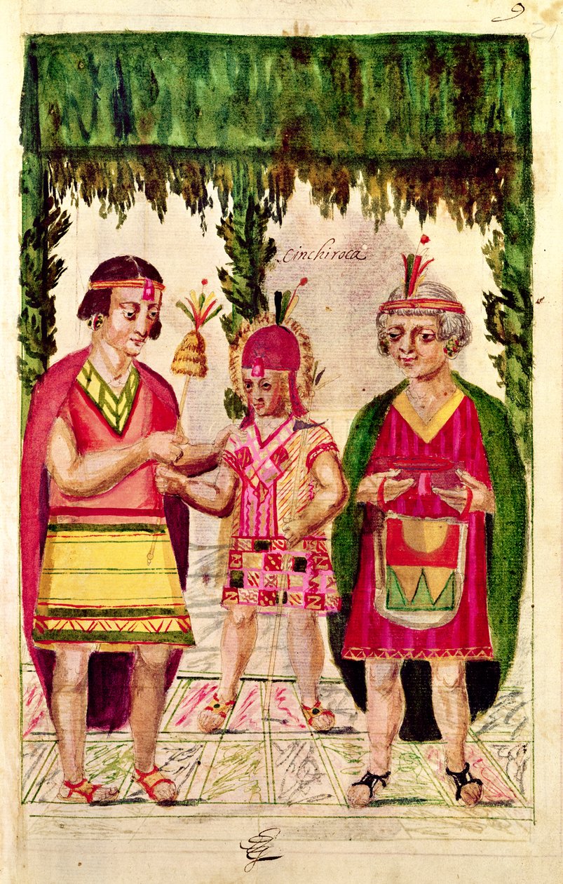 Illustration of Cincheroca, from 