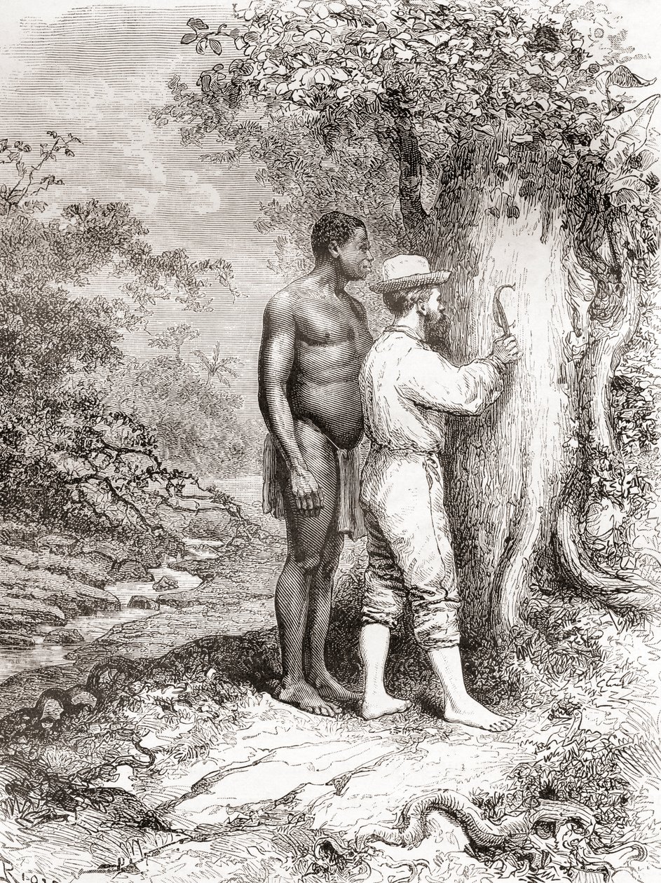 Jules Crevaux Carving His Initials on a Tree on the Banks of the Oyapock River by Spanish School