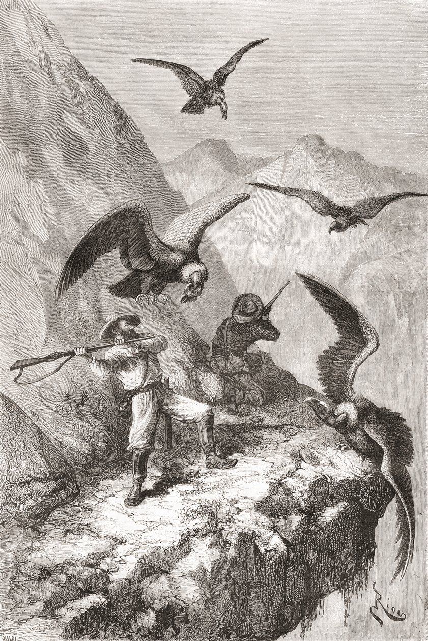 Édouard François André Attacked by Condors Near Calacali by Spanish School