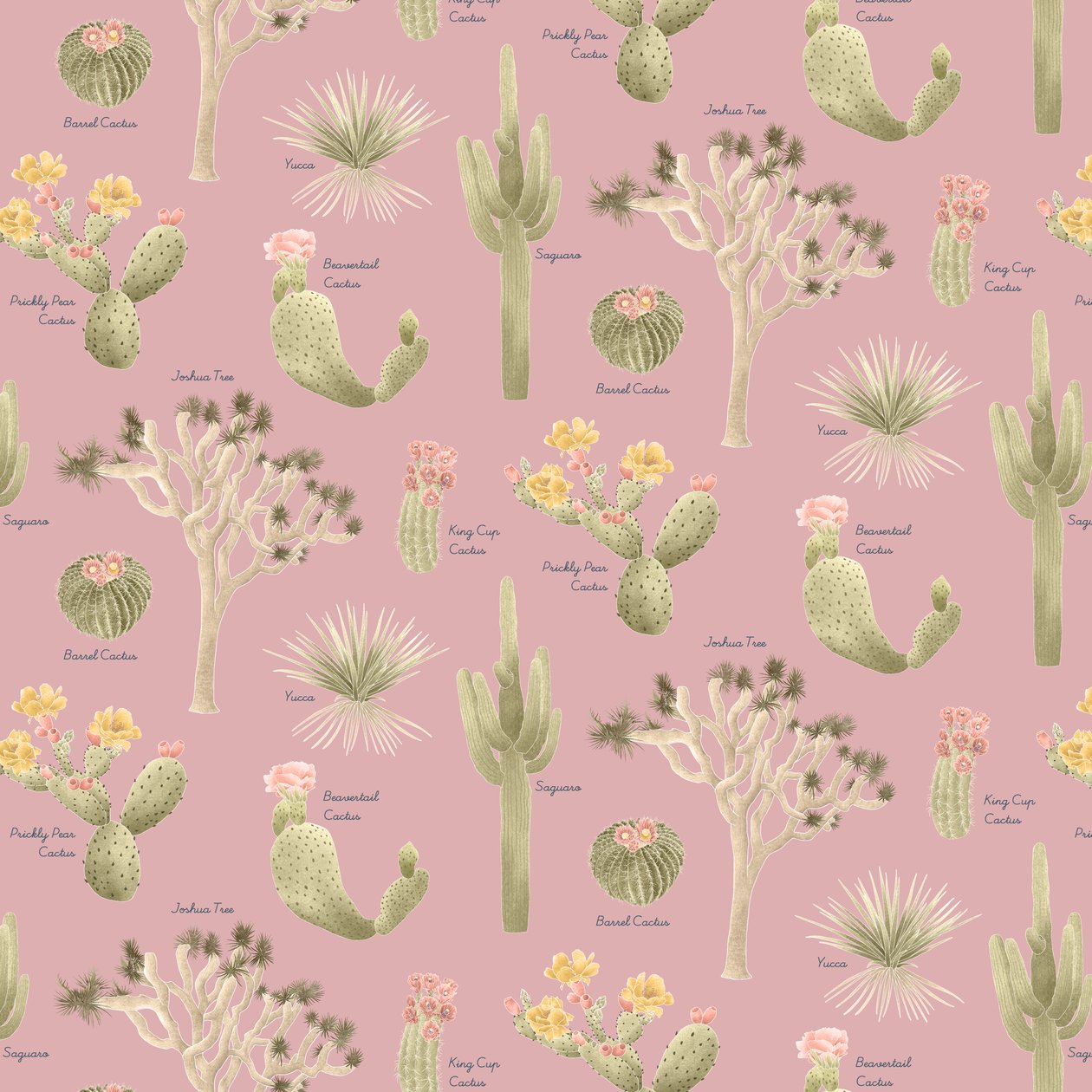 Mojave Desert Cacti Pattern by Stacy Hsu