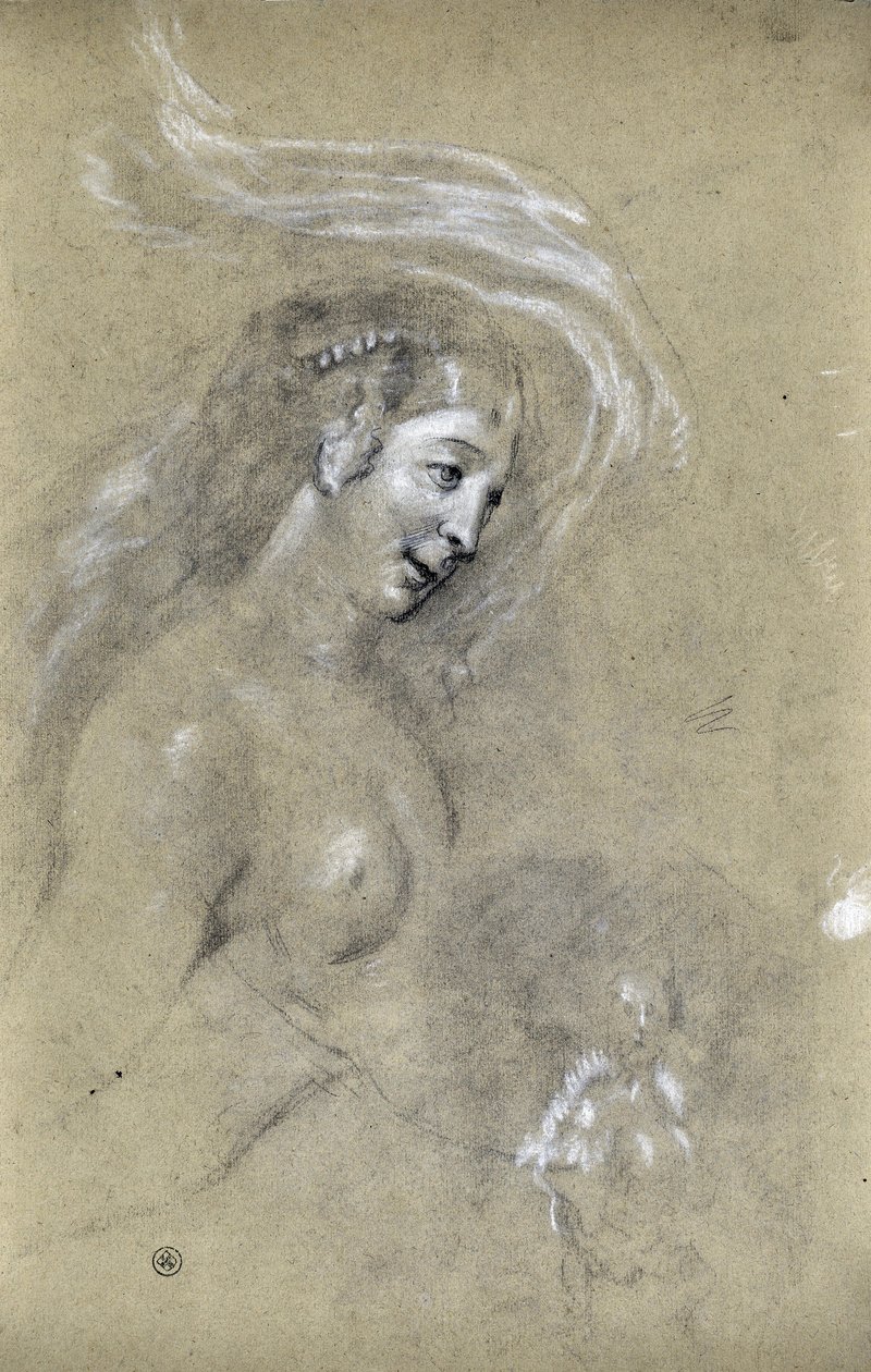 Study of Profile of Woman by Stanislas Torrents y de Amat