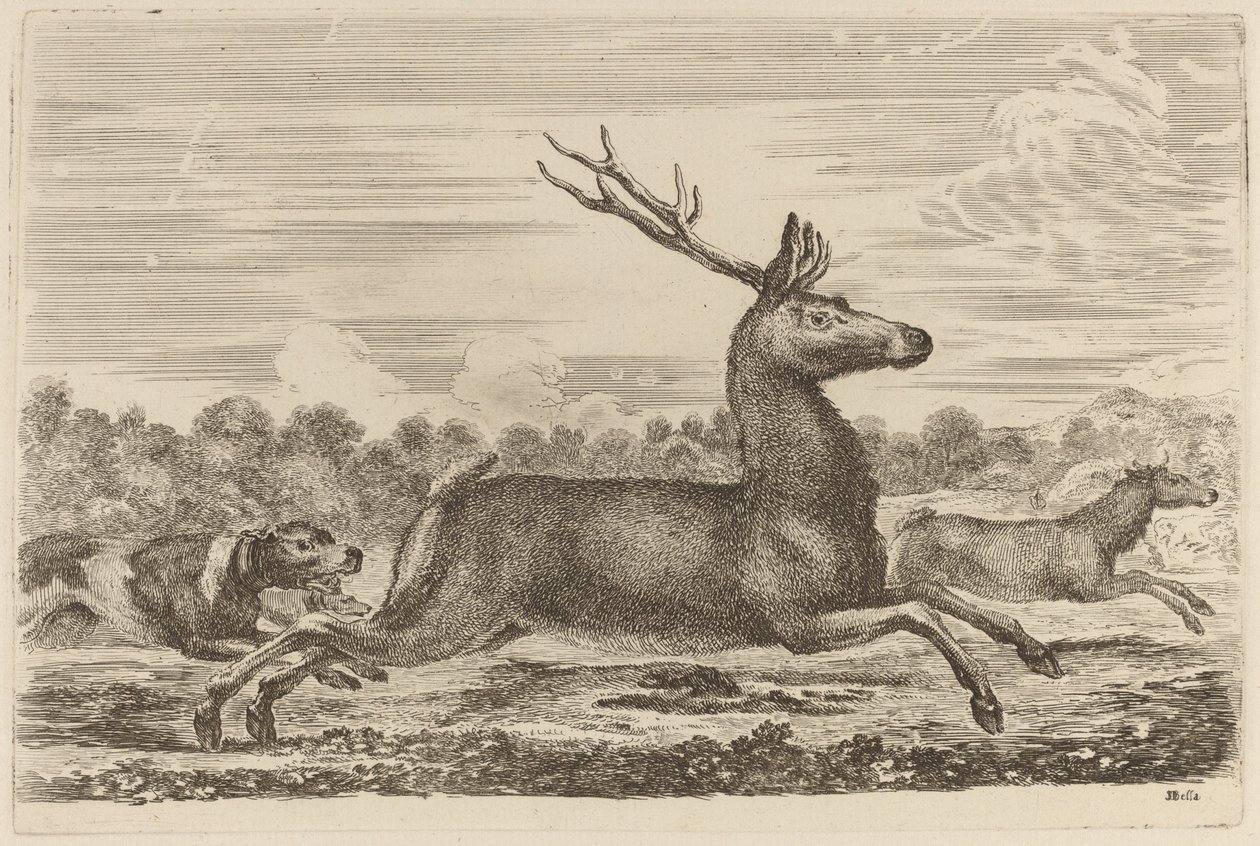 Deer Chased by Two Dogs to the Left by Stefano della Bella