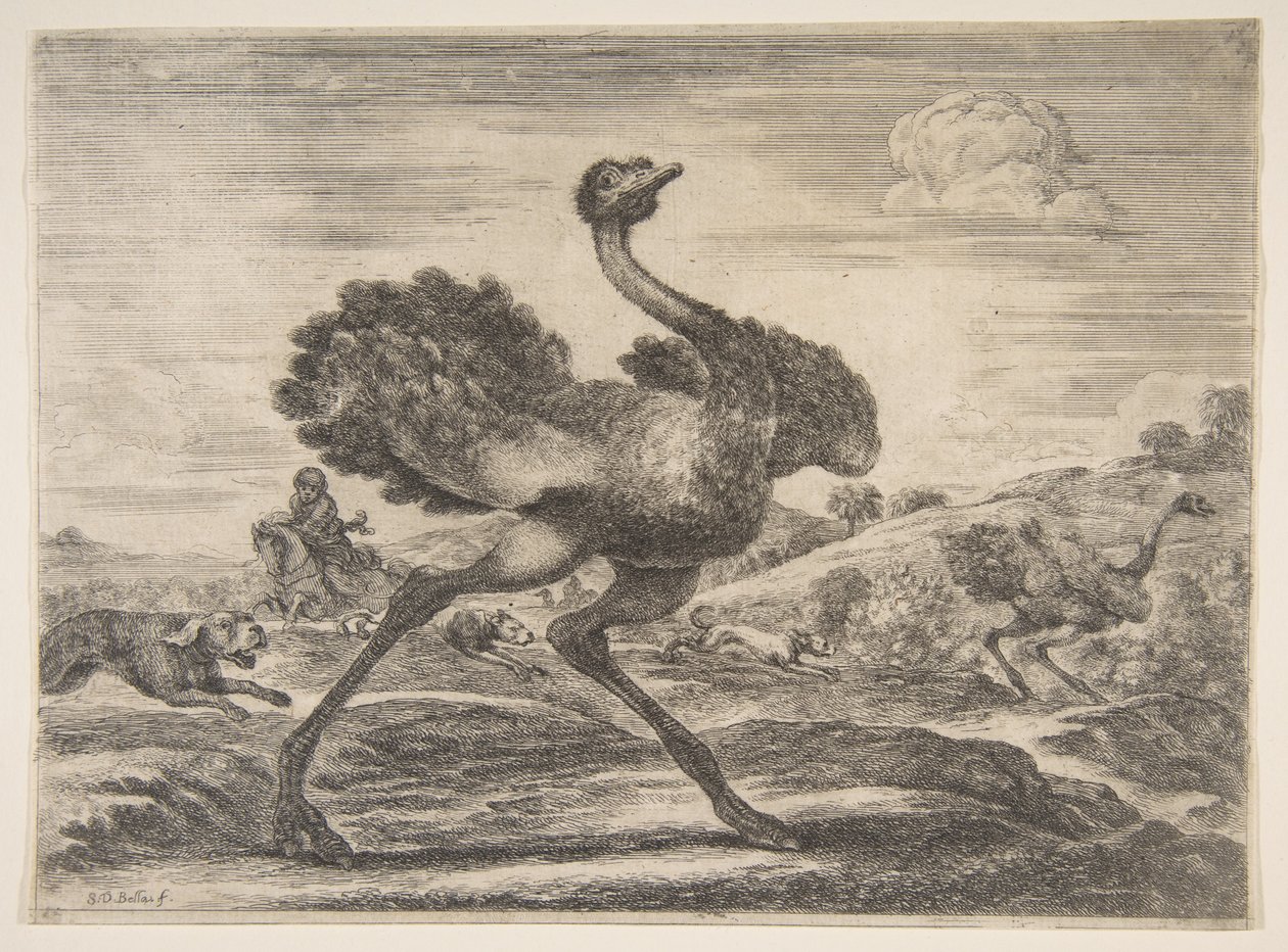 Ostrich Hunt, from Animal Hunts by Stefano della Bella