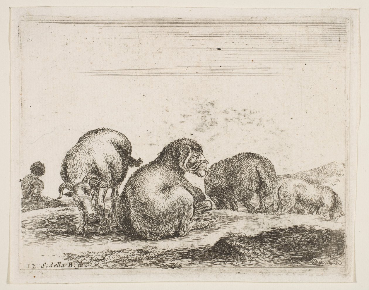 Plate 12: Sheep and Ram in a Pasture, from Various Animals, ca. 1641 by Stefano della Bella