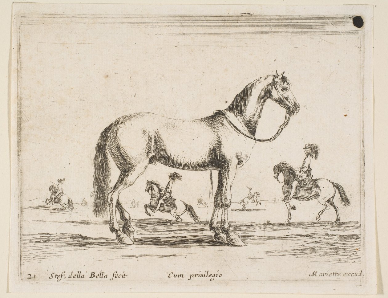 Plate 21: Horse, from Various Animals by Stefano della Bella