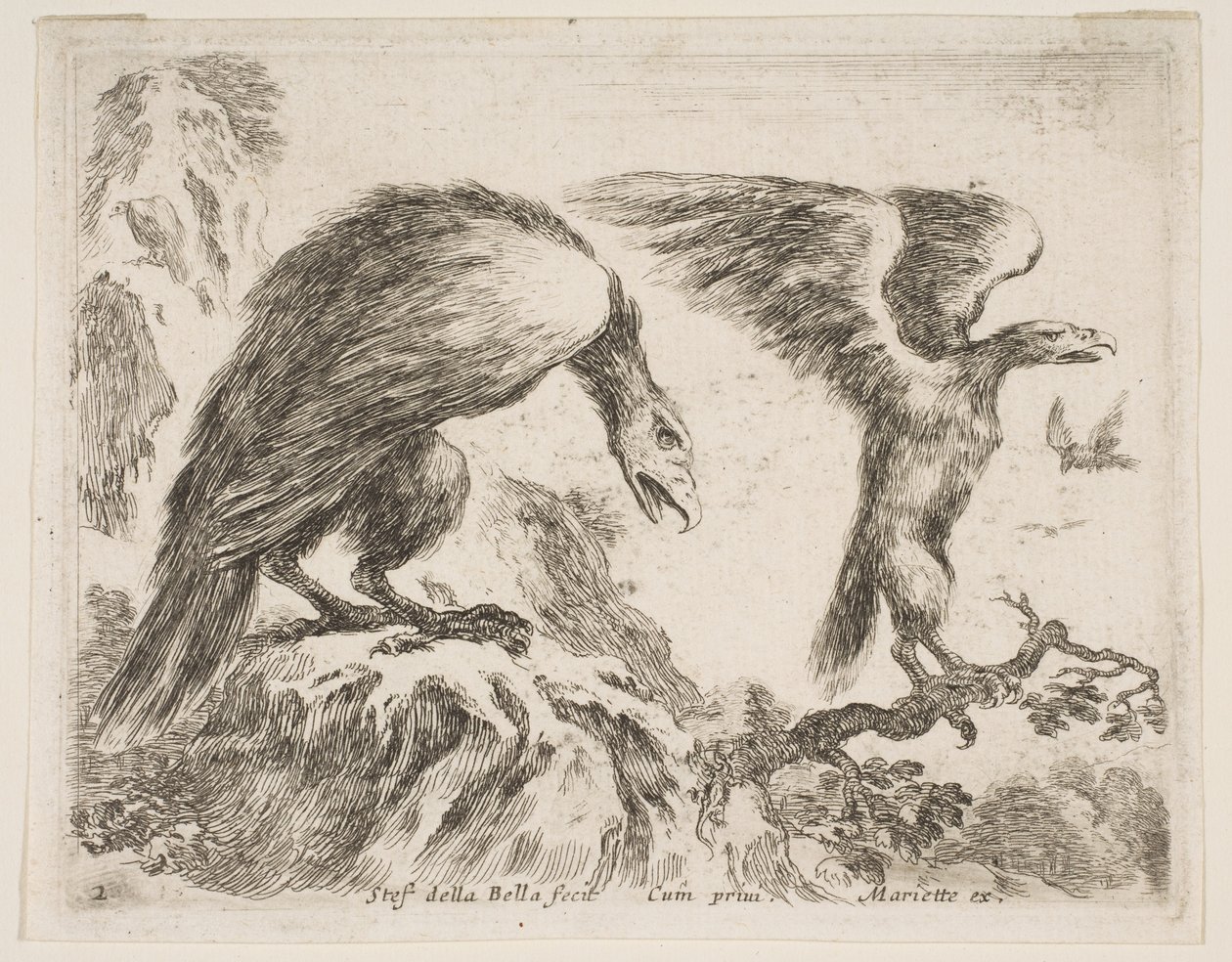 Plate 2: Eagle and Eaglet, from Various Animals by Stefano della Bella