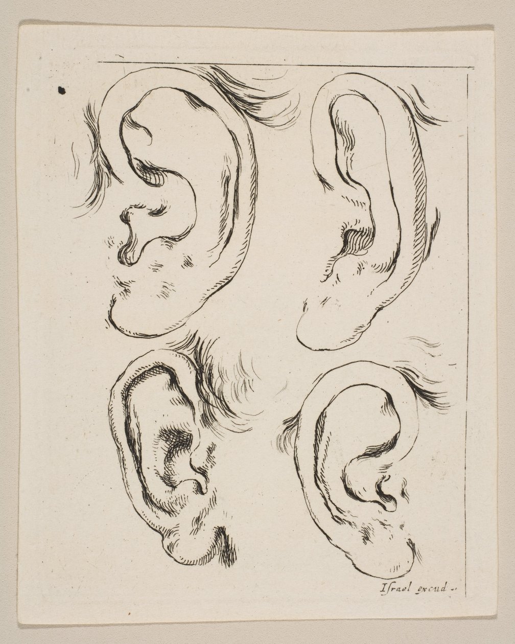 Plate 5: Four Ears, from The Book for Learning to Draw by Stefano della Bella