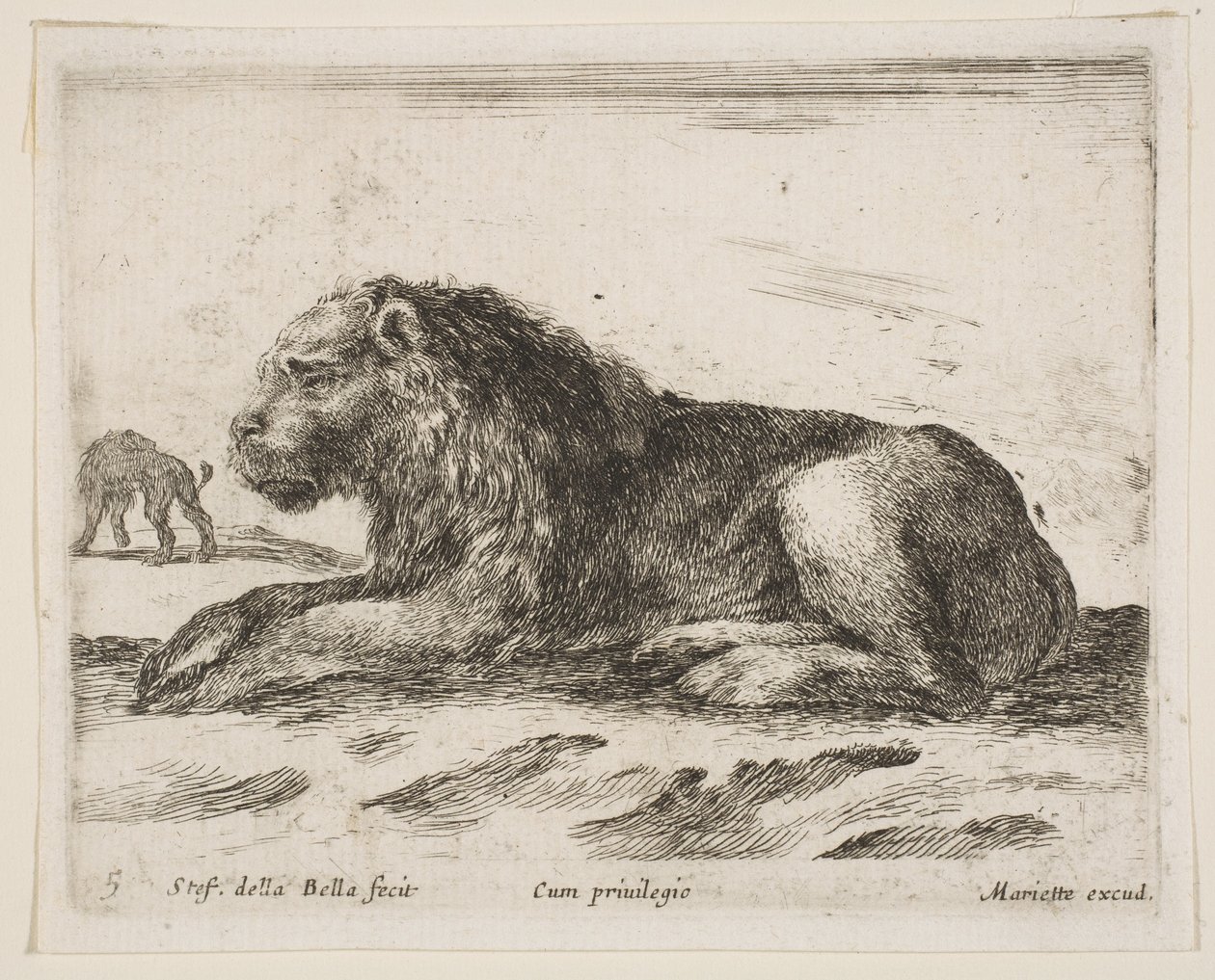Plate 5: Reclining Lion, from Various Animals by Stefano della Bella