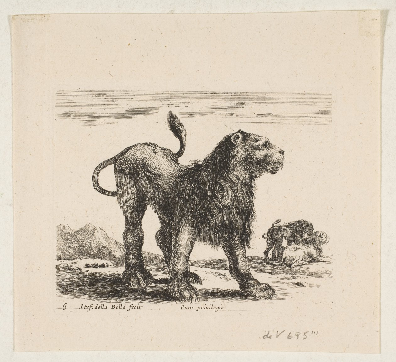 Plate 6: Lion from 