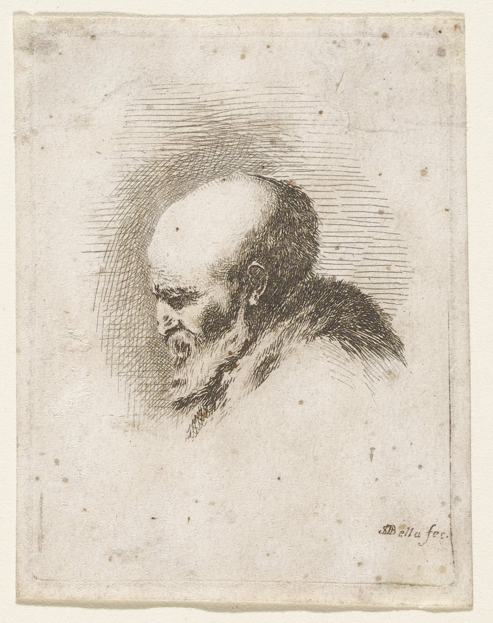 Head of a Bald and Bearded Old Man by Stefano della Bella