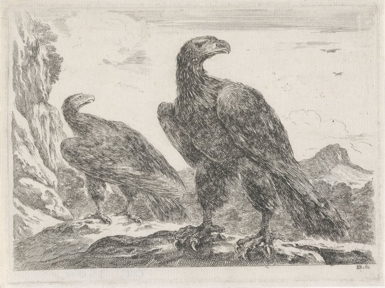 Two Eagles with Heads to the Right by Stefano della Bella