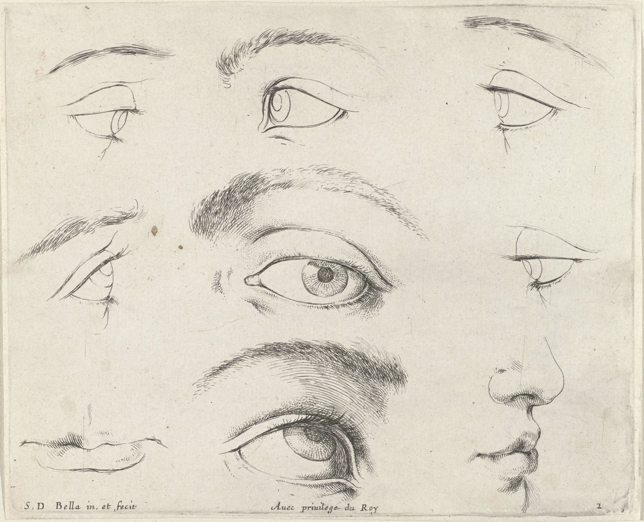 Seven Eyes, Two Mouths, and a Nose (The Principles of Drawing) by Stefano della Bella