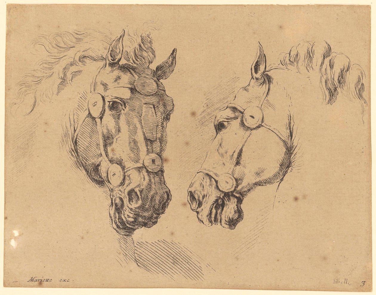 Two Horse Heads by Stefano della Bella
